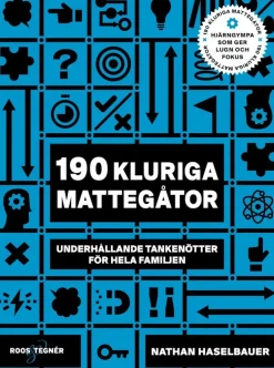 190 kluriga mattegåtor : underhållande tankenötter för hela familjen