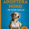 Adoptera hund : allt du bör tänka på