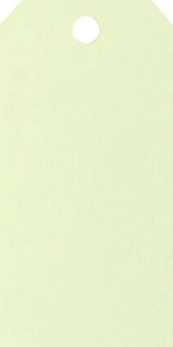 Adresskort 10-pack lime