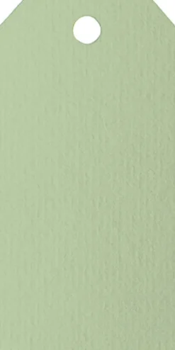 Adresskort 10-pack ljusgrön