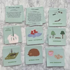Aktivitetskort: naturen