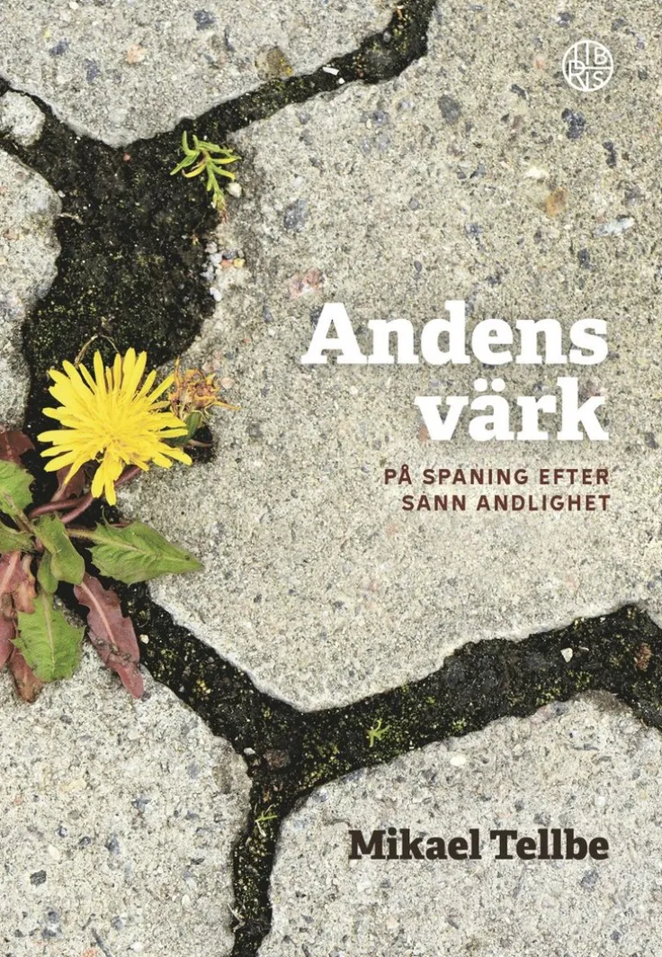 Andens värk : på spaning efter sann andlighet