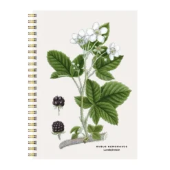 Anteckningsblock A5 linjerad björnbär