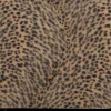 Anteckningsbok A5 Leopard brun