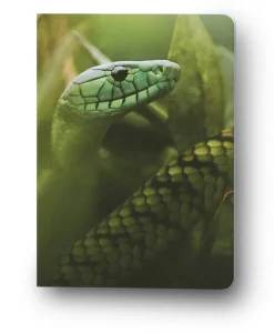 Anteckningsbok A6 linjerad mjuk pärm Mattias A. Klum mamba