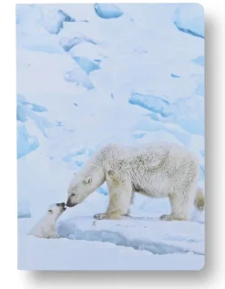Anteckningsbok A5 linjerad mjuk pärm Mattias A. Klum isbjörn
