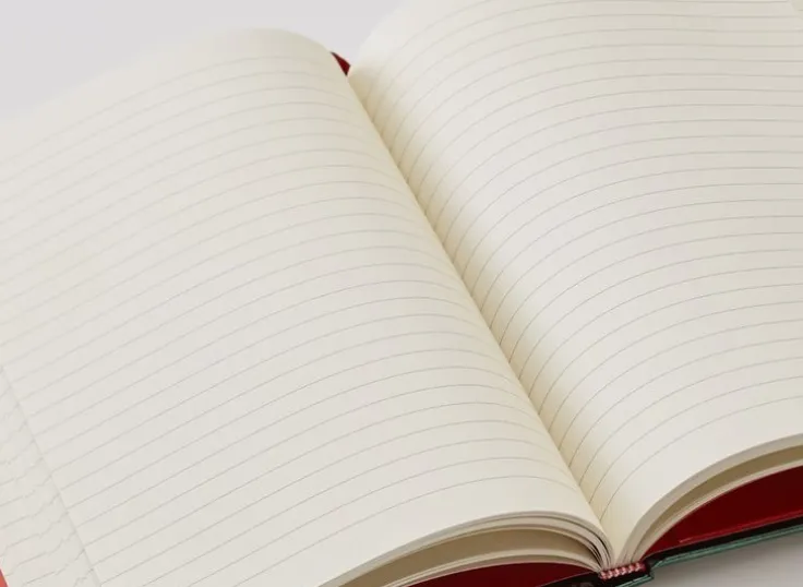 Anteckningsbok 22x16cm - Blue Poppies