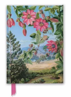 Anteckningsbok 22x16cm linjerad Kew Garden's: View in Brisbane