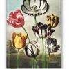 Anteckningsbok 22x16cm linjerad Temple of Flora: Tulips