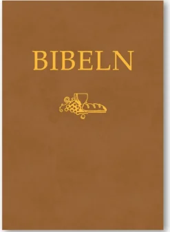 Bibeln SFB 2015, kompakt, brun skinnimitation