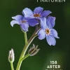 Blommor i naturen : 158 arter, guide til blommor nära dig