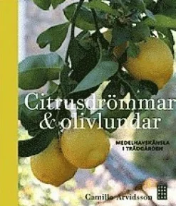 Citrusdrömmar & olivlundar : medelhavskänsla i trädgården