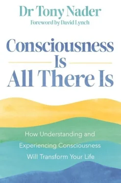 Consciousness Is All There Is