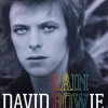 David Bowie Rainbowman