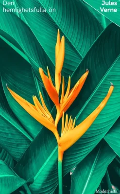 Den hemlighetsfulla ön