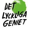 Det lyckliga geniet : psykologi för kreativa