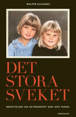 Det stora sveket : berättelsen om skyddsnätet som inte fanns