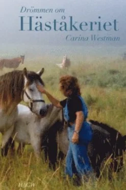 Drömmen om Häståkeriet