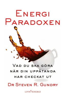 Energiparadoxen