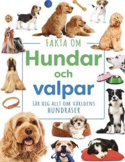Fakta om hundar och valpar : lär dig allt om världens hundraser