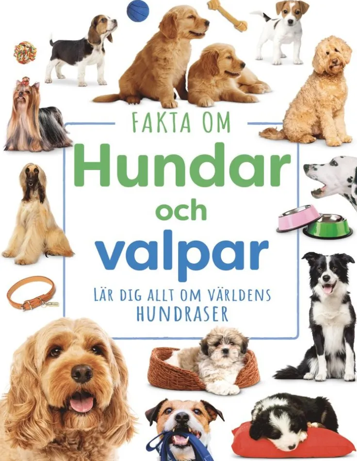 Fakta om hundar och valpar : lär dig allt om världens hundraser