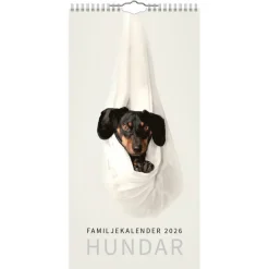 Familjekalender 2026 Hundar
