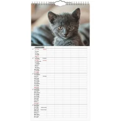 Familjekalender 2026 Katter