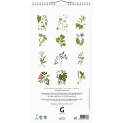 Familjekalender 2026 Växter