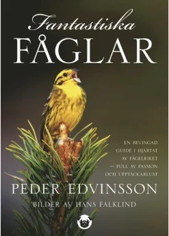Fantastiska fåglar : en bevingad guide i hjärtat av fågelriket - full av passion och upptäckarlust