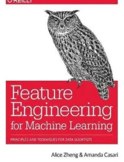 Feature Engineering for Machine Learning