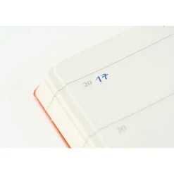 Femårsdagbok Leuchtturm1917 A5 