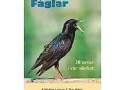 Fåglar : 30 arter i vår närhet