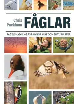Fåglar : fågelskådning för nybörjare och entusiaster