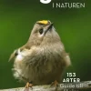 Fåglar i naturen : 153 arter, guide till fåglar nära dig