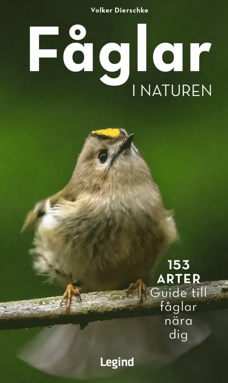 Fåglar i naturen : 153 arter, guide till fåglar nära dig