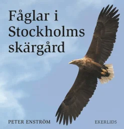 Fåglar i Stockholms skärgård