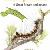 Field Guide to the Caterpillars of Great Britain and Ireland