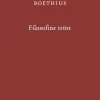 Filosofins tröst