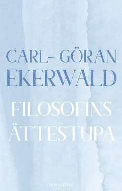 Filosofins ättestupa : om västerländska filosofers misstro mot språket