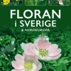 Floran i Sverige & Nordeuropa