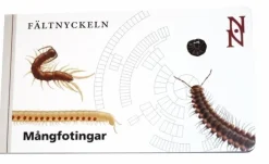 Fältnyckeln. Mångfotingar