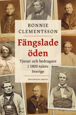 Fängslade öden : tjuvar och bedragare i 1800-talets Sverige