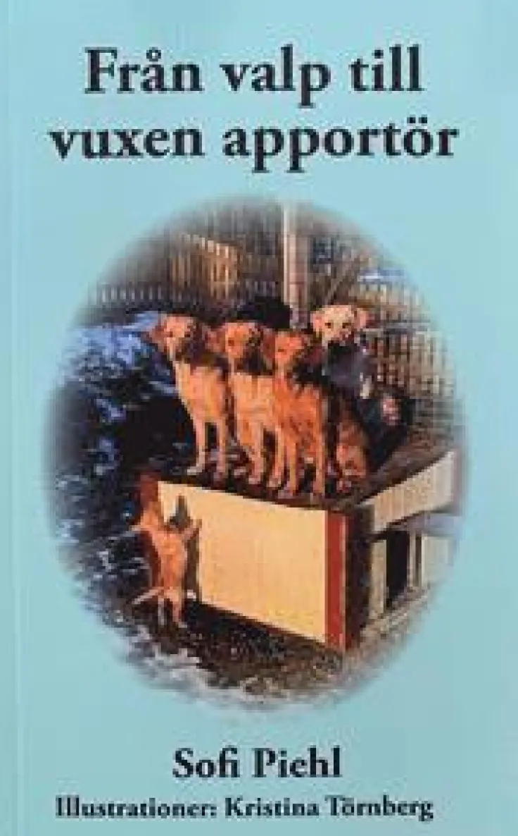 Från valp till vuxen apportör