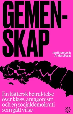 Gemenskap : en kättersk betraktelse över klass, antagonism och en socialdemokrati som gått vilse