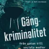 Gängkriminalitet : Från gatan till sociala medier