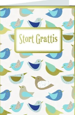 Gratulationskort med kuvert - Stort grattis med fåglar