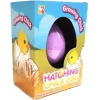 Hatching Chick Eggs