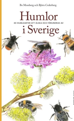 Humlor i Sverige : 40 arter att älska och förundras över