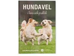Hundavel i teori och praktik