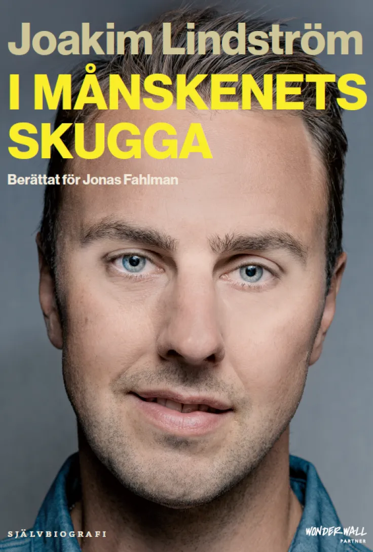 I månskenets skugga